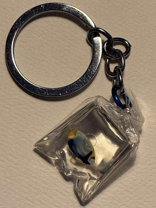 Fish Going Home Keychain